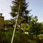 arbre11